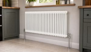 Column Steel Radiator Westbridge Controls Designer Column Steel Radiators in Northern Ireland